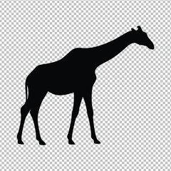 Silhouette of a giraffe, side profile, black shape, transparent background, clean lines, minimalist design, vector graphic style, iconic African wildlife, simplistic illustration