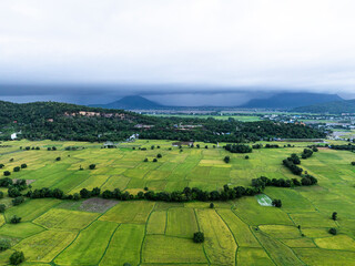 Fototapeta premium Ta Pa rice field scenery taken from above is so beautiful.