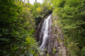 Beautiful Kapnistavi waterfall in the green forest. Adjara, Georgia