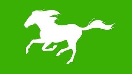  animation video of running horse with green screen background