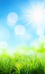 Obraz premium Beautiful blurred background of lush green grass and blue sky on a sunny day with copy space