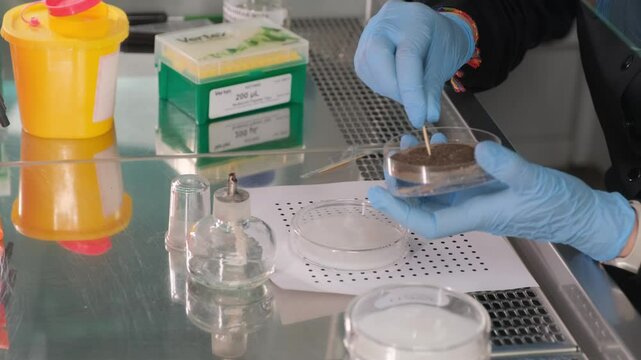 Scientist Analyzing Soil Sample in Petri Dish