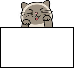 Cute Cartoon Cat Square Frame