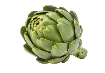 A single green artichoke with tightly packed leaves isolated on transparent background