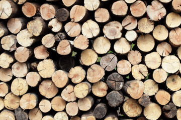 Logs and Timber Stacked Neatly for Woodworking and Construction Use