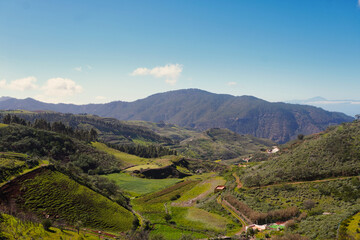 Naklejka premium Views of the peaks of Gran Canaria, during the winter, when a green blanket covers everything.