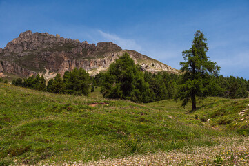 nature sceneries along the trail starting from the Costalunga Pass, Sen Jan di Fassa, Dolomites, Italy © fruttuoso