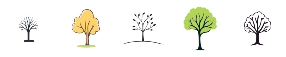 Tree Growth and Nature's Beauty in Seasons