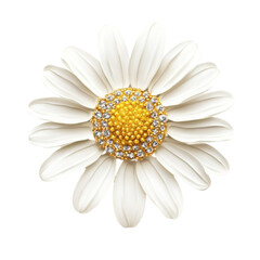 Diamond Daisy Jewel Flower Gold White Blossom