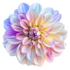 Obraz premium Pastel Dahlia Flower Bloom Soft Petals Nature Beauty,