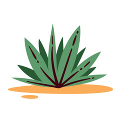 Green agave plant on sand. Bush with succulent leaves from desert and arid lands of Wild West of America. Nature, ingredient mascot, agave for making tequila cartoon vector illustration
