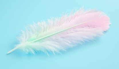 Pastel feather on light blue background.  Delicate, soft, colorful feather, vibrant pastel hues of pink and light green,  lying flat on a smooth, solid light blue surface