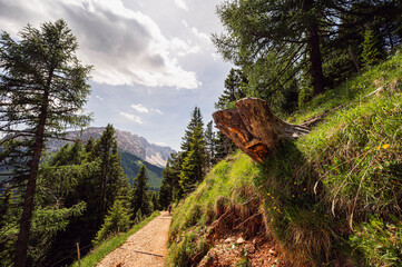 nature sceneries along the trail starting from the Costalunga Pass, Sen Jan di Fassa, Dolomites, Italy © fruttuoso