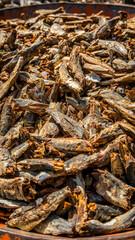 Aromatic display of dried fish at a bustling market in Douz, Tunisia, showcasing traditional food preservation methods and local trade culture.
