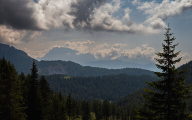 nature sceneries along the trail to Fuciade Refuge, San Pellegrino Pass, Moena, Dolomites, Italy