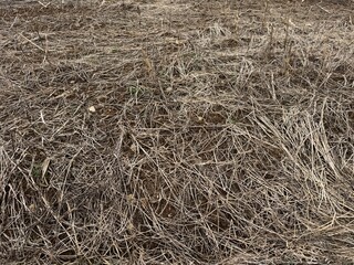 hay bale background