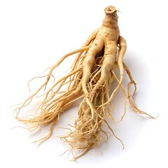 single ginseng root isolated white background