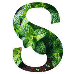 Letter s