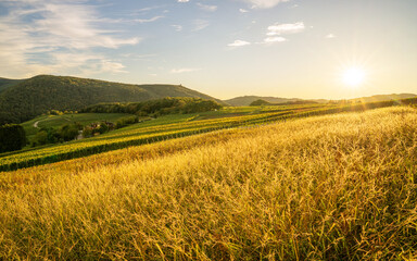 Obraz premium Dernau, Ahr, Rhineland-Palatinate, Germany