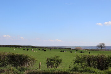 Landscape in the hills