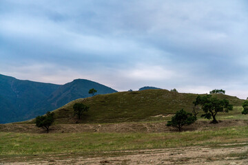 Obraz premium Caucasian mountain. Dagestan. Trees, rocks, mountains, view of the green mountains. Beautiful summer landscape.