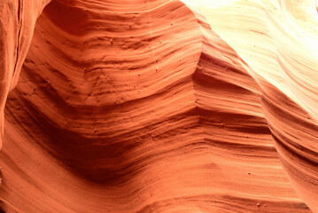 RattleSnake Slot Canyon Arizona