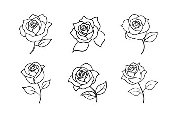 set of roses