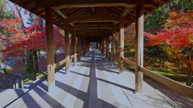 京都　東福寺の通天橋（つうてんきょう）を歩く