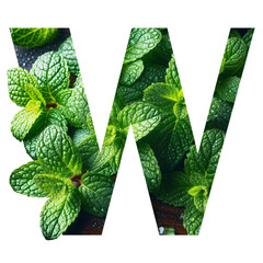 Letter w