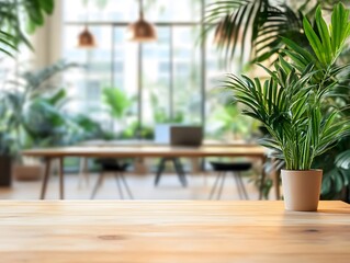 Fototapeta premium Bright Office Interior with Green Plants and Natural Light Decor