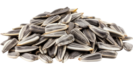 Pile of Sunflower Seeds: A close-up shot showcases a bountiful pile of nutritious sunflower seeds, presenting their distinct striped shells and conveying a sense of natural bounty.