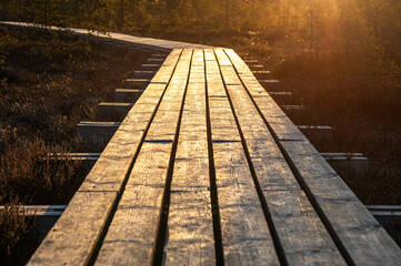wooden 
footbridge in the swamp