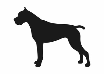 A simple, clean silhouette of a dog, likely a Cane Corso, presented against a pure white background.