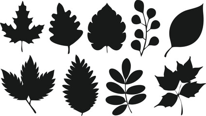 Collection of Black and White Leaf Silhouettes