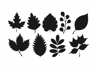 Collection of Black and White Leaf Silhouettes