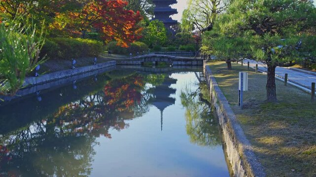 	京都　東寺の紅葉と五重塔