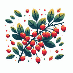 barberry, food, ripe, berry, red, fruit, leaf, plant, branch, fresh, antioxidant, vitamin, healthy, natural, organic, ingredient, spice, herb, isolated, background, goji, herbal, autumn, medicine, twi