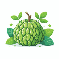 cherimoya, green, fruit, fresh, food, ripe, exotic, sweet, tropical, organic, custard, background, healthy, raw, annona, white, custard apple, delicious, tasty, isolated, dessert, seed, half, chirimoy