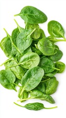 Obraz premium Fresh Green Spinach Leaves on White Background
