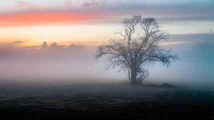 Obraz premium misty morning sunrise over