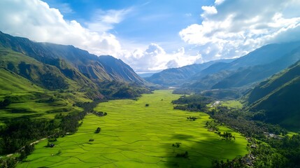 Naklejka premium Lush green rice fields surrounded by mountains in clear weather