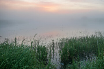 foggy morning on the river
