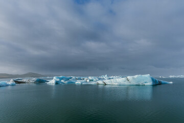 Seals resting on Icelandic ice floes, surrounded by the pristine Arctic landscape. A peaceful wildlife scene in the cold northern waters. Perfect for nature, wildlife, and travel themes.