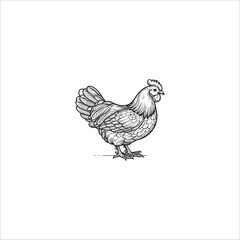 hen image artwork handmade illustration
