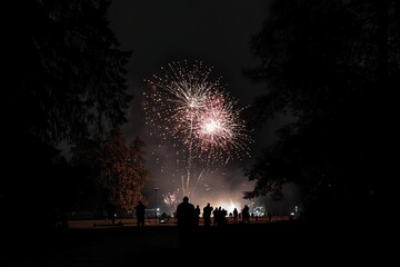 Watching Fireworks Display at Night with Silhouetted People in Park