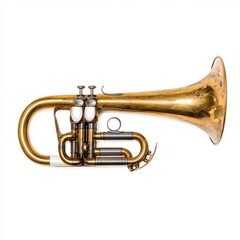 Obraz premium Generic Bugle Horn Moment Day Trim Brass Finish Independence