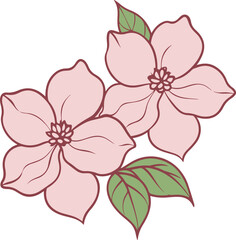 Delicate pink flowers in dogwood blossom with green leaves illustration