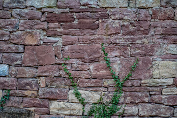 Schäden an der Hauswand