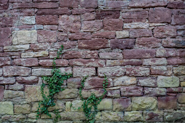 Schäden an der Hauswand