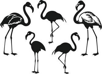 A collection of black silhouette flamingo designs on a white background.